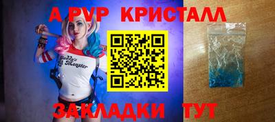 индика Сланцы