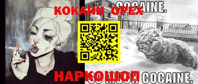 индика Сланцы