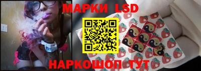 индика Сланцы
