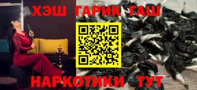 индика Сланцы