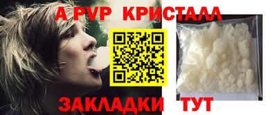 индика Сланцы