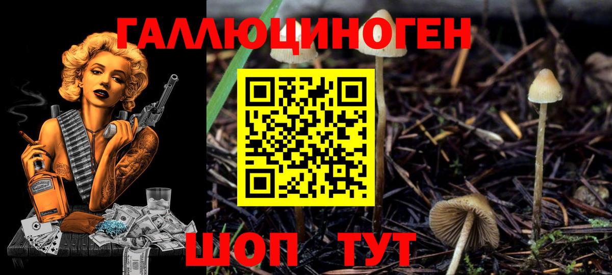 Саянск  Галлюциногенные грибы мухоморы  Вход с VPN 